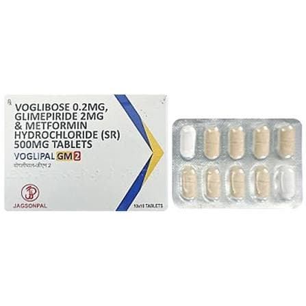 VOGLIPAL GM 2